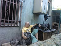 jose vicente troiani and his dogs